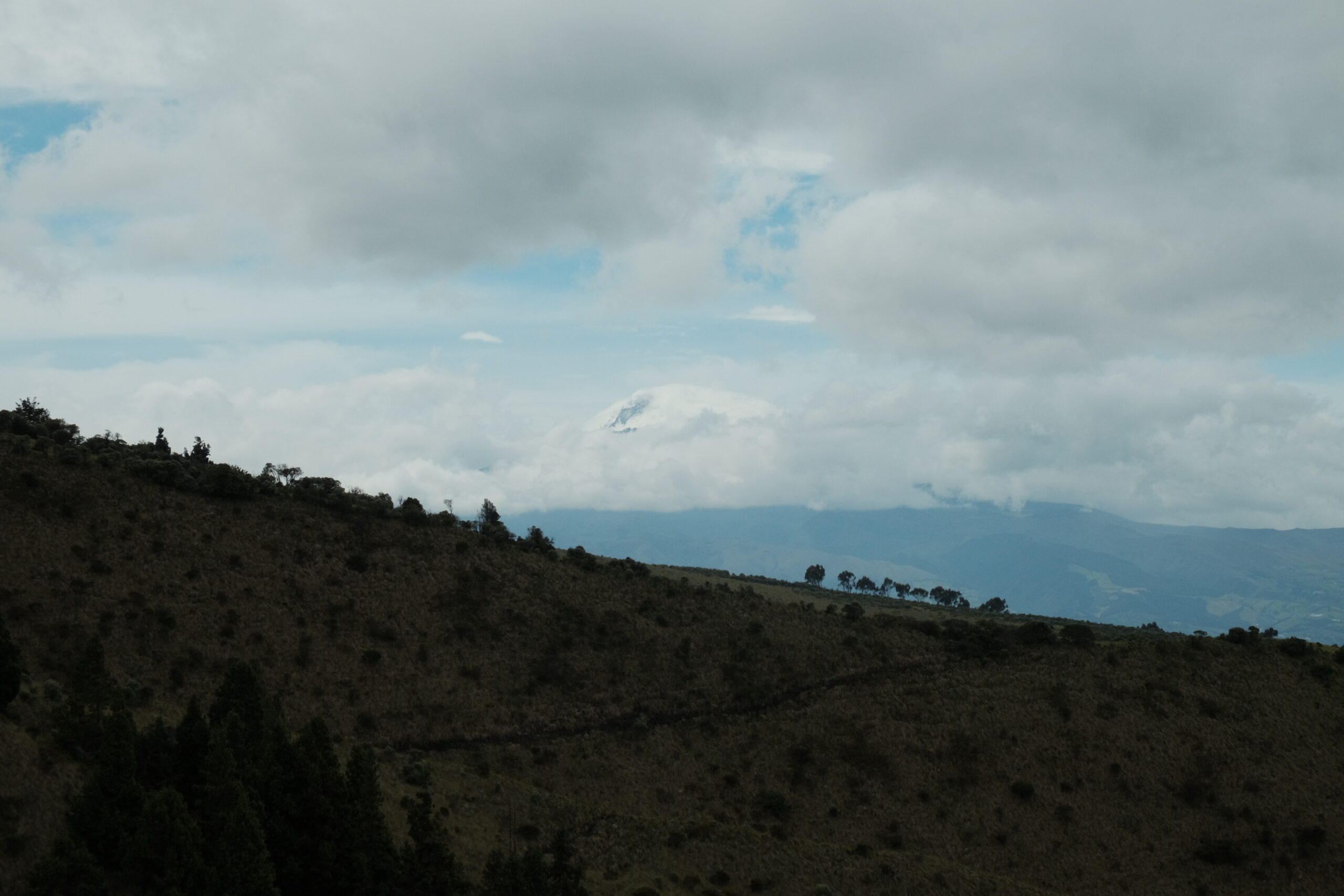 Goldilocks goes to Ecuador