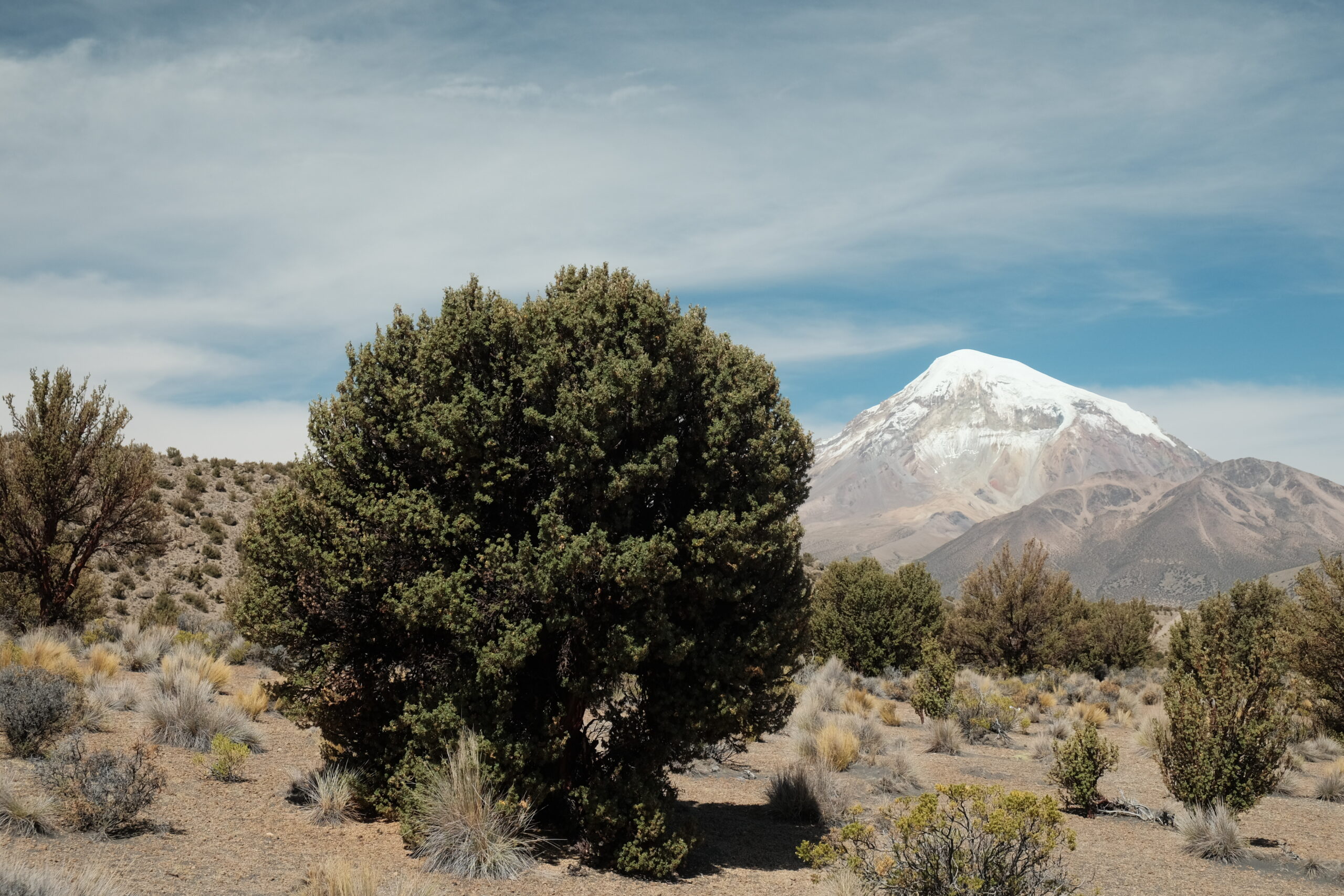 Sajama: Gastro and Geysers